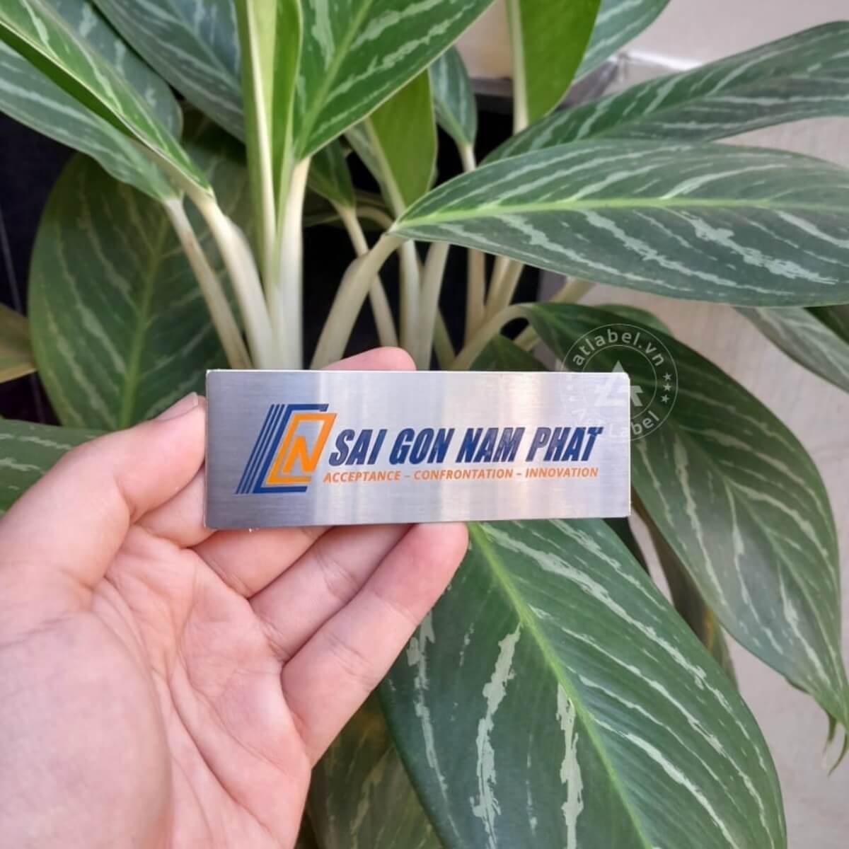 Mẫu tem số 5